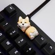 corgi_04.jpg Puppy Corgi keycaps - Mechanical Keyboard