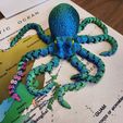 Octopus 2.0