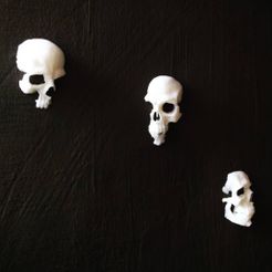 WhatsApp-Image-2021-07-06-at-12.07.57-PM.jpeg Файл STL Skull wall ornament bonehead・Дизайн для загрузки и 3D-печати, jonk_industrial