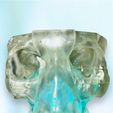 n2.jpg 8 PARTS 3D Magnetic Assemblable Printed Nasal Sinus (maxillary, ethmoid, frontal, sphenoid) Based on Real Patient CT Scan Data