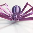 rn WN e fe) y wy) " Fichier STL ARAIGNÉE VEUVE NOIRE・Design pour impression 3D à télécharger