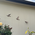 Screen-Shot-2024-04-07-at-6.28.10-PM.png Birds in Flight: Three beautiful wall-mounted bird sculptures