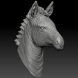 3.jpg 3d print model of Zebra head.