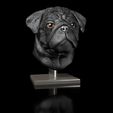 Shop3.jpg English Bulldog Pug Dog Head Portrait