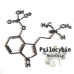 Psylocibintext.jpg Molécule de psylocibine