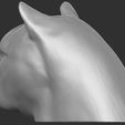 4.jpg Leopard head for 3D printing