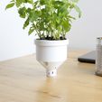 campbell_planter17a.jpg Free STL file Campbell Planter - Fully 3D Printed Self-Watering Planter・3D print design to download