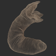 Dune_Worm_Wire2.png Dune Sandworm -Shai-Hulud- 3D model