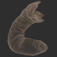 Dune_Worm_Wire2.png Gusano de las dunas -Shai-Hulud- Modelo 3D
