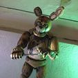 IMG_4379.jpg Spring Bonnie FNAF Movie Articulated Figure