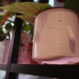 20-1-37_IMG_0156.JPG Cute Customizable Planter Pot