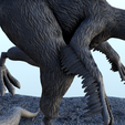 58.png Epidexipteryx dinosaur (6) - High detailed Prehistoric animal HD Paleoart