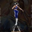 z-22.jpg Chun Li - Street Fighter - Collectible