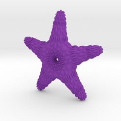 starfish.jpg Starfish