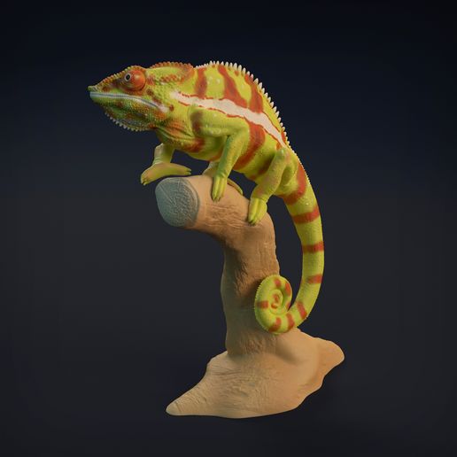 Chameleon 3D model
