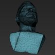 29.jpg Ragnar Lothbrook Vikings bust 3D printing ready stl obj
