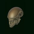 1.jpg Xenomorph Alien biomechanical head