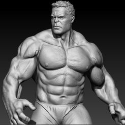 70902319_10215258681003284_6750851869553197056_n.jpg Archivo STL Smart Hulk・Diseño de impresión en 3D para descargar