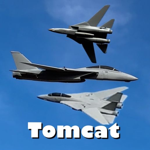 F-14 Tomcat Twin 50