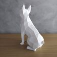 IMG_20220610_064410.jpg Low Poly Boston Terrier