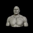 28.jpg The Rock 3D print model