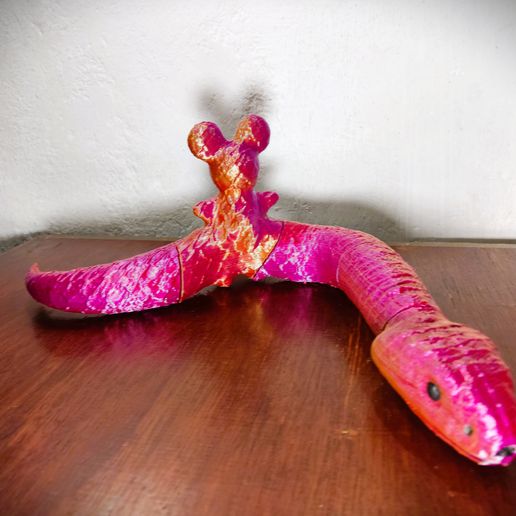 IMG_20250429_150833.jpg Mickey Mause