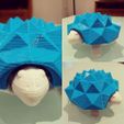 Tortue Spongieuse