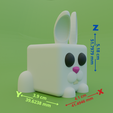 Connejo1.2.png Rabbit