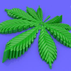 cannabis leaf.jpg cannabis leaf