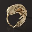 AB3.jpg Alien Ring