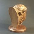 20190325_221331.jpg Archivo 3D Busto de Búfalo・Diseño de impresión en 3D para descargar