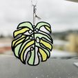 IMG_7094.jpeg Monstera Deliciosa Leaf Suncatcher