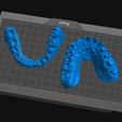 Practica-'.png FREE practice model