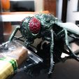 IMG_5005.jpg A lovely FLY