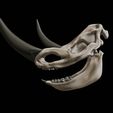 22.jpg Coelodonta - elasmotherium : Complete skeleton
