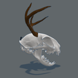 Gato-cuerno-4.png Decorative cat with horns