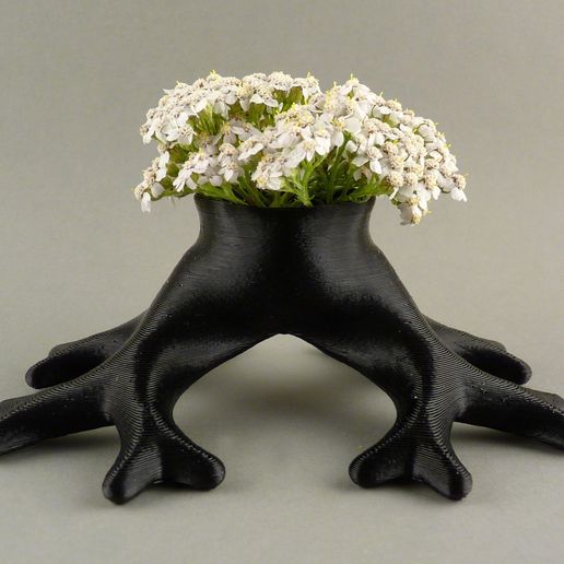 Binary_Roots_Front_Flower_display_large.jpg Racines binaires