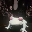 20250511_214509.jpg Tree Frog