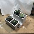 ZEN GARTEN PFLANZER