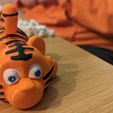 flexi tiger