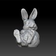 ra2222.jpg Cute rabbit - decorative rabbit - beauty rabbit