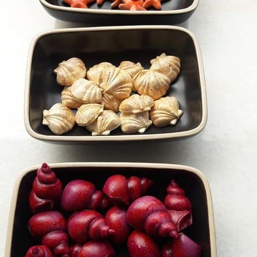 Wreck Raiders  shells and starfish 3D model