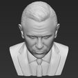 15.jpg James Bond Daniel Craig bust 3D printing ready stl obj