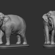 13.png Asian Elephant