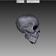 skull.png Simple Human Skull