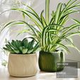 DOLCE-planter_front-two.jpg DOLCE | Maceta de interior