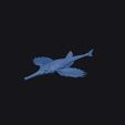 longtail_seamoth_0015.jpg Longtail Seamoth