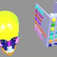 21.jpg Skull bones colored separable labelled