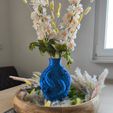 WhatsApp-Image-2026-05-02-at-19.54.468.jpeg Fish Vase
