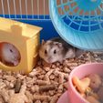 pict2.jpg Hamster - Bird house (easily washable)